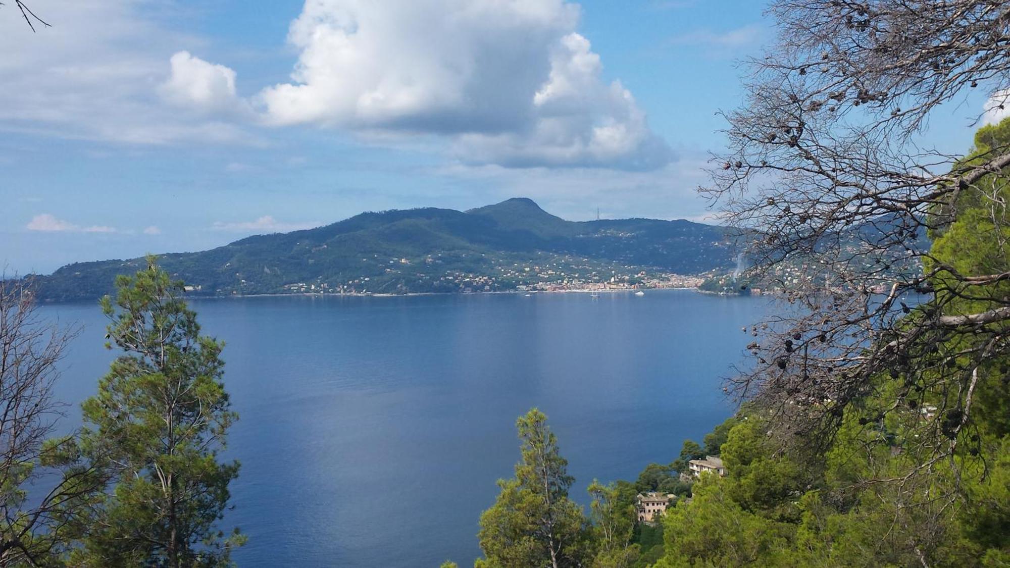 Al Mare Davanti A Portofino - By The Sea In Front Of Portofino 佐阿利 外观 照片